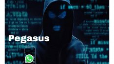 Всички говорят за "Пегас". Как да проверим дали ни подслушват GSM-а?