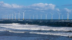 Рибари вдигат протест заради законопроекта за ВЕИ в Черно море