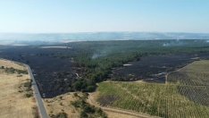 Четвърти ден продължава борбата с огъня край Сунгурларе