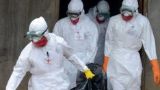 Пробите за чумата от Велинград пътуват към Монпелие