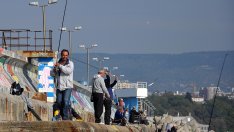 Риба зарган кълве във Варненския залив