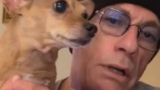 Наказват ветеринар от Тервел заради случая с Жан-Клод Ван Дам