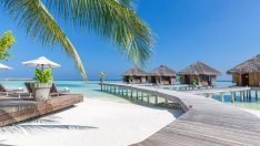 Мними туроператори мамят с евтини екскурзии до Дубай, Малдивите и Тайланд