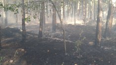 Пожар от човешка небрежност вилня в землището на Аксаково