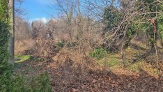 Над 100 декара от Морската градина във Варна не са разчиствани повече от 20 години