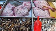 ЕК предлага  запазване на квотите за улов на хамсия и калкан в Черно море