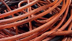 Пробация за непълнолетен варненец, "брал" мед