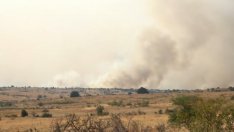 167 пожара са ликвидирани за изминалото денонощие у нас