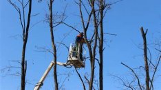 Утре затварят част от ул. „Цар Асен“ във Варна 