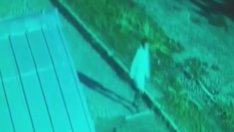 Вижте ВИДЕОТО, запечатало Стефани за последно