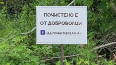 Почистиха морското дъно край IV-та буна във Варна
