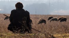 Виц на деня - 2 юни