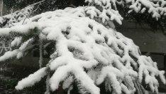 Виц на деня - 28 октомври