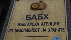 БАБХ предупреждава за Инфлуенца по птиците