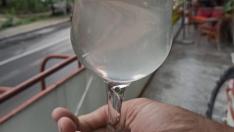 Освен мътна и кална – водата в Добрич се оказа и бъкана с много опасни бактерии