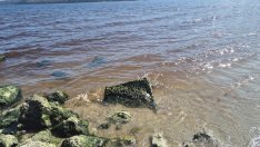 Обявиха причината за кафявата вода в Аспарухово