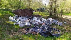 Събраха 25 тона отпадъци от горите край "Аспарухово" (СНИМКИ)