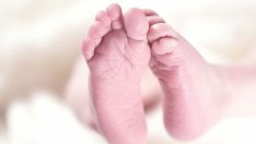 Увеличават се отнетите българчета в чужбина 