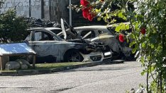 9 коли изгоряха при пожар до хотел в Банско