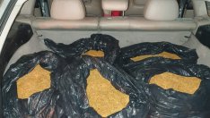 Спипаха тютюн без бандерол за 20 хил. лева край Варна