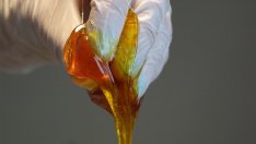 Виц на деня - 11 август