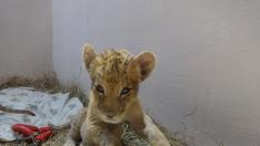 Започна ремонт на Зоопарка във Варна