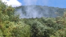 Пожар пламна в село край Варна