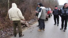 Елен се блъсна в училищен автобус