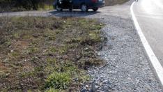 Не за колци за домати, апаши свили пътните знаци за... ограда (СНИМКИ)