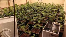 Пореден удар по наркоразпространението във Варна (СНИМКИ)