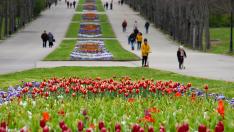 ВАС насрочи дело по жалба срещу забраната на коли в Морската градина