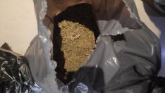 Голямо количество наркотици иззеха във Варна