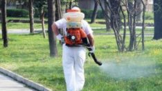 Продължава обработката срещу вредители във Варна