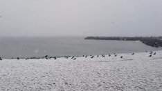 Сняг на парцали заваля във Варна