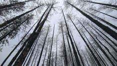 Условията за планински туризъм са добри