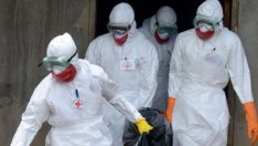 БАБХ констатира ново огнище на Африканска чума по свинете