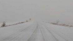 Ограничено е движението за всички МПС в областите Разград, Силистра, Шумен и Добрич