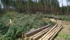 На "Траката"  се страхуват от потоп и нови строежи