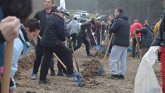 Залесяват още 20 декара в Добричко