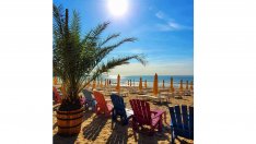 Сдружението на заведенията: При 9% ДДС сме внесли 132 млн. лв. повече през 2022 г.