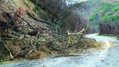 Пороят натвори поразии, а още нищо не сме видели. Градусите падат, сняг идва!