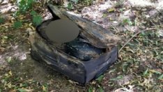 Страхотия до София: Труп на финландка – натъпкан в сак! Има задържан