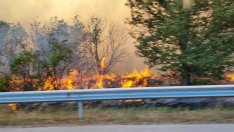 Пожар пламна между Стралджа и пътен възел "Петолъчката"