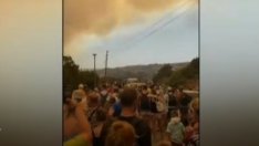 Над 30 000 души са евакуирани от о-в Родос (ВИДЕО)