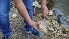 След граждански сигнал: Извадиха бракониерска мрежа от „Цонево”