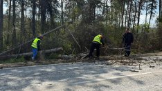 Тирът, който уби Сияна, се е движил с превишена скорост