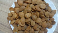 Български пробив: Въглен от кайсиева черупка прочиства кръвта от COVID-19