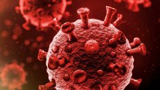 Pfizer заговори за нов щам, устойчив на ваксините им. Факт ли е той?