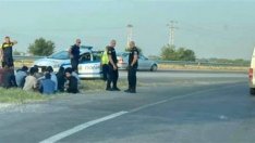 Заловиха 16 нелегални мигранти в борова гора