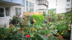 Кои са най-красивите градинки във "Владиславово"? Вижте ги (СНИМКИ)